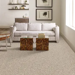 Carpet-gallery Carpet care | Calvetta Brothers Northfield