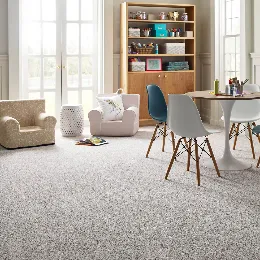 Carpet-gallery Carpet care | Calvetta Brothers Northfield