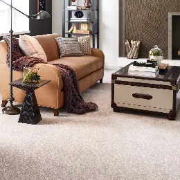 Carpet-gallery Living room | Calvetta Brothers Northfield